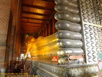 ワット・ポー( WAT PHO )に居る寝そべる仏陀( Sleeping Buddha )　撮影場所：バンコク、タイ