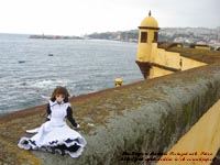 マディラ( Madeira )にあるサンティアゴ要塞とさあらさん　撮影場所：マディラ、ポルトガル(PORTUGAL)